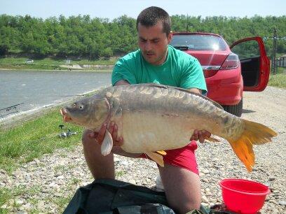 ccarp - 1359744589785.jpg